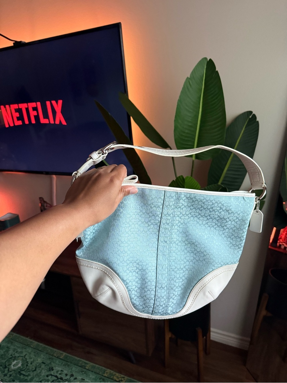 Vtg Coach Light Blue and White Hobo Shoulder Bag